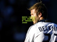 巅峰对决，全球格斗巨星鏖战‘终极格斗冠军赛’中国新星爆冷KO卫冕冠军