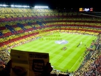 破纪录之夜！XXX选手打破尘封XX年世界纪录，创造历史新篇章