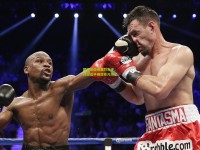 国际帆船赛激烈角逐，顶尖选手展现非凡技艺