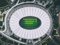 短道速滑世界杯首尔站，中国队斩获两金一银，小将表现亮眼