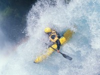 国乒包揽世乒赛五冠 新生代球员崭露头角